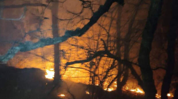 Три дня центральная часть Крыма будет находиться под угрозой природных пожаров