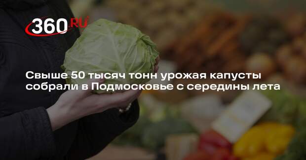 Свыше 50 тысяч тонн урожая капусты собрали в Подмосковье с середины лета