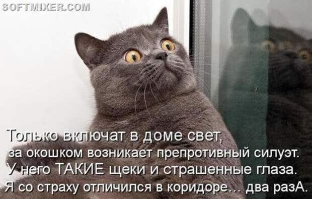 d4d689d973c077bc76a7b44e3be_prev