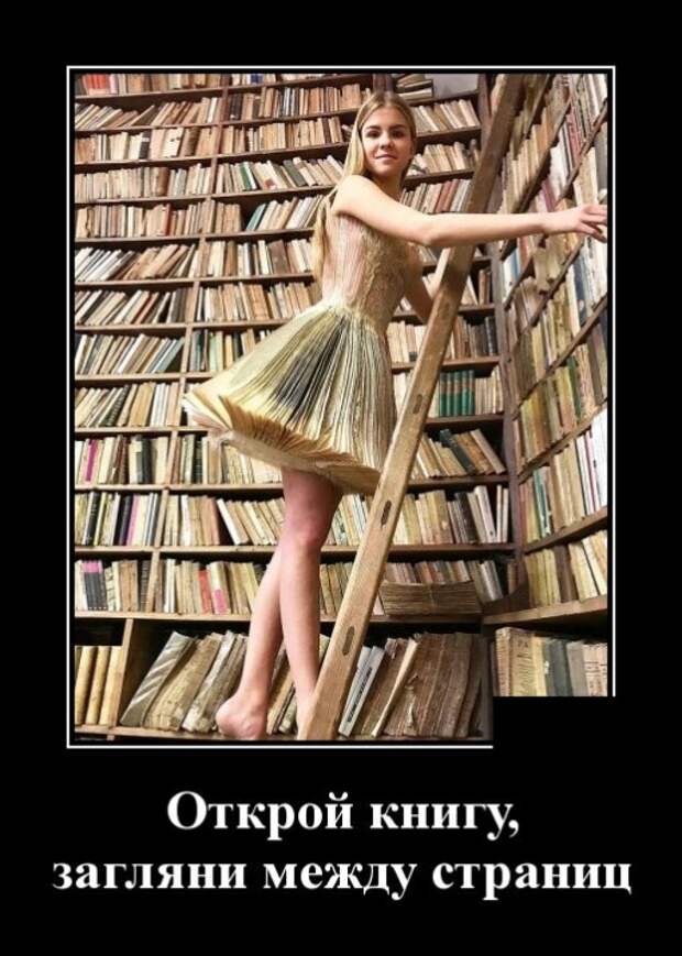 Демотиваторы (30 фото)