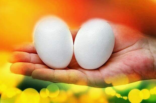 13b507c921ea271d465e1bb1e88b07bb