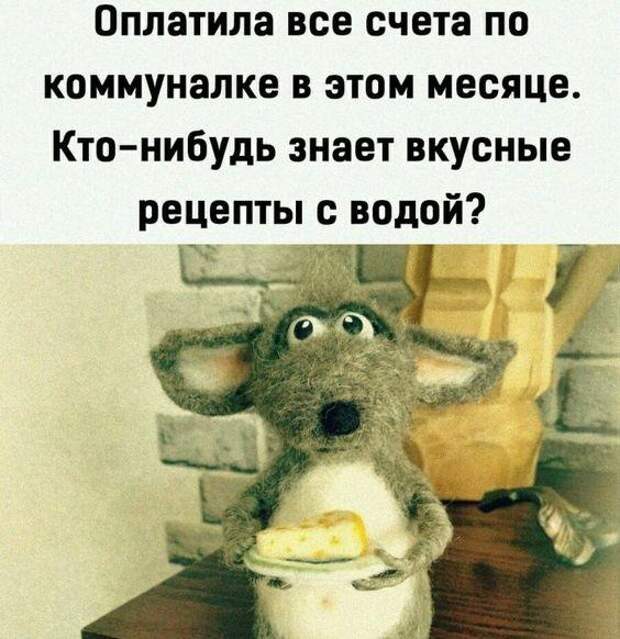 Свежие мемы на сегодняшний день (четверг)