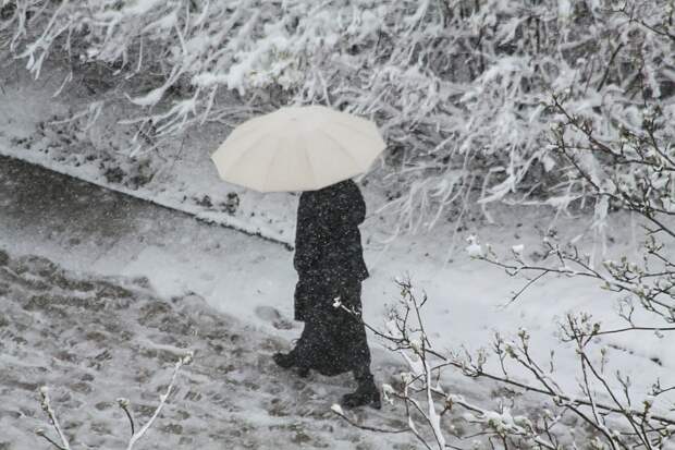 Московские сугробы побили 90-летний рекорд