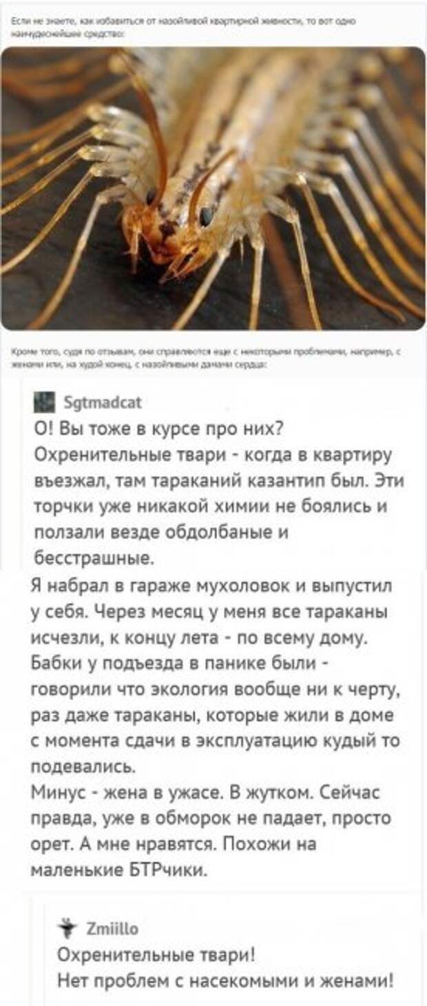 Отличные приколы из социальных сетей: поднимите себе настроение!