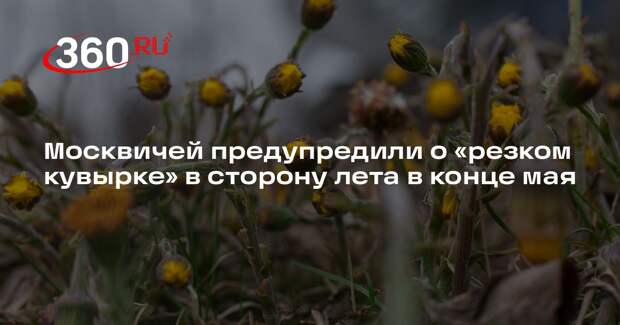 Синоптик Тишковец: в третьей декаде мая в Москве резко потеплеет