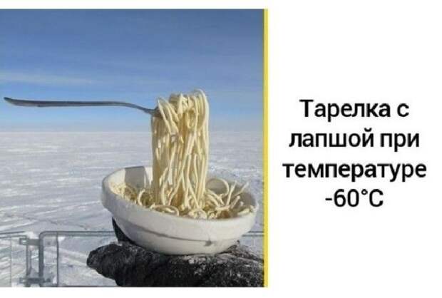 Им просто плевать на законы физики.