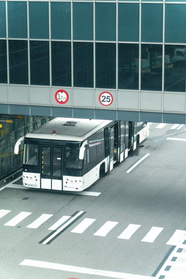 Сервис «Туту» и E-Traffic запускают платформу BusMobi для автоматизации автобусных перевозок