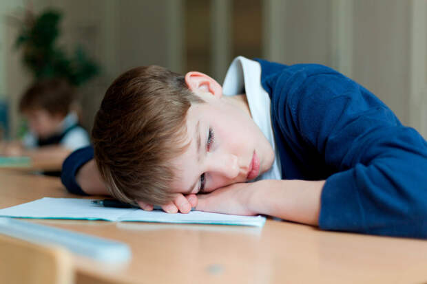 Член ОП Рыбальченко: в начальных классах школы необходимо ввести тихий час