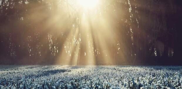 Жителей Алтайского края предупредили о заморозках в конце недели