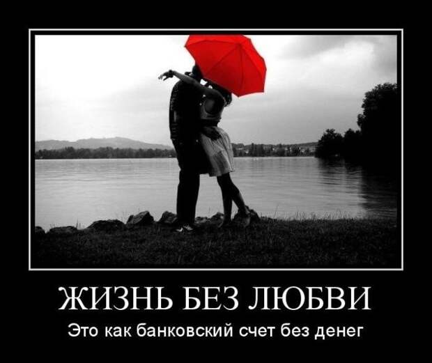 Демотиваторы ко дню влюбленных (50 фото)
