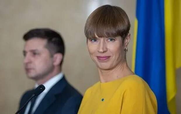 Без Крыма и Донбасса Украине в НАТО делать нечего – президент Эстонии