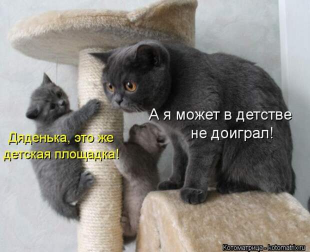 Мысли вслух :) 23 пушистые мыслишки