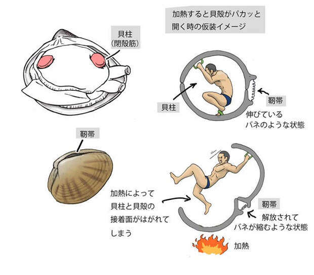 humans-animals-anatomy-satoshi-kawasaki-5d7f3222941c6__700.jpg humans-animals-anatomy-satoshi-kawasaki-5d7f3222941c6__700.jpg