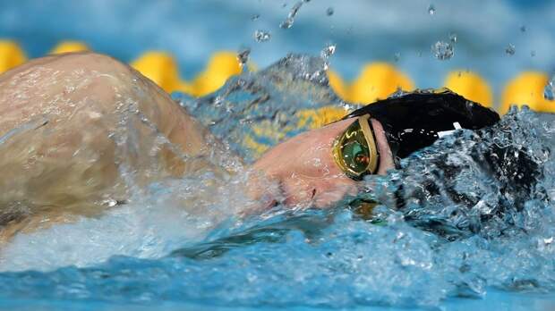 Россия может провести ЧМ или ЧЕ по водным видам спорта в ближайшие годы