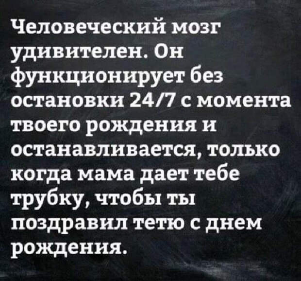 Несколько веселых историй