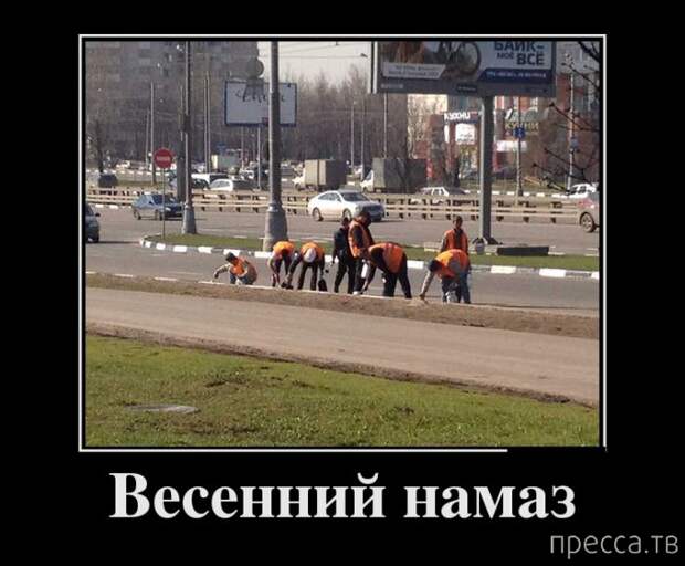 Самые злобные демотиваторы, часть 153 (31 фото)