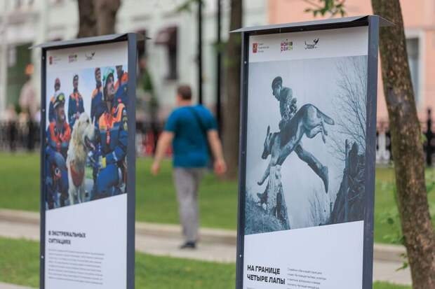 На Тверском бульваре открылась фотовыставка "Друг, спасатель, защитник"