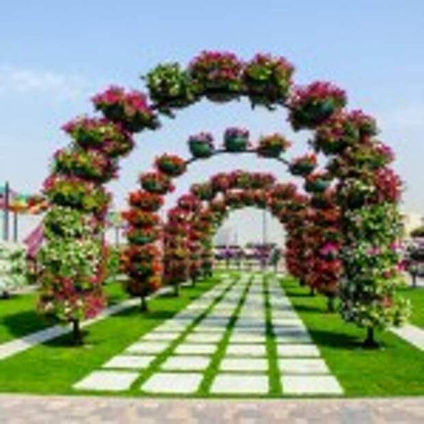 Dubai Miracle Garden