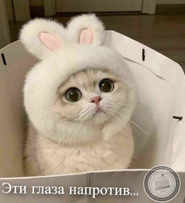 Глаза