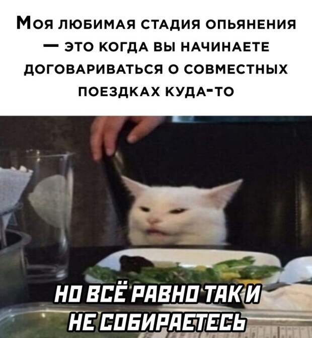Смешные картинки 6 июля 2021