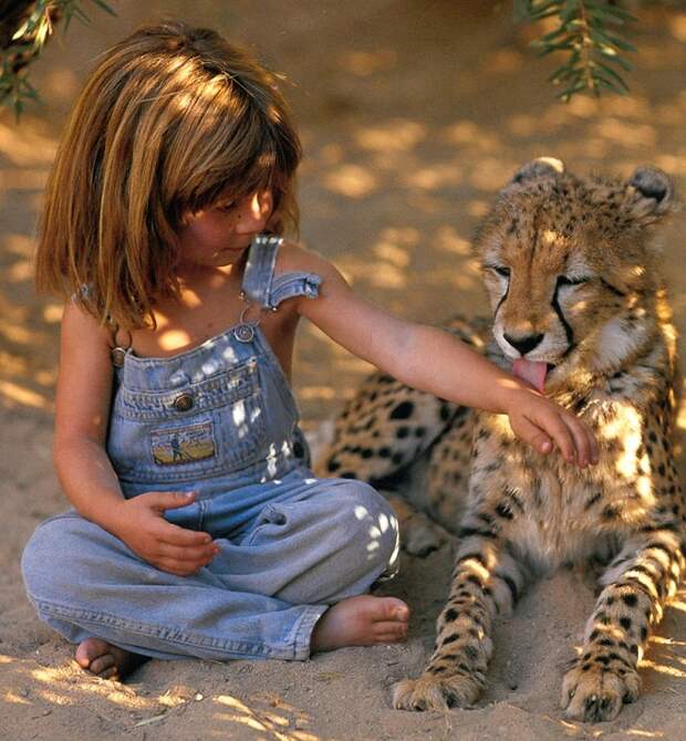 Типпи Дегре и гепард. Девочка-Маугли в Африке. Фото