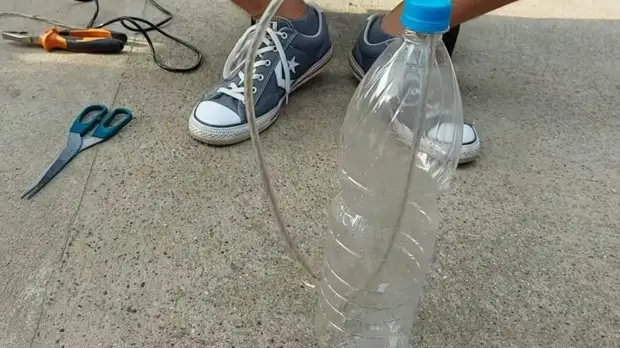 Простейший бутылочный капельный полив. Сделайте такой перед отпуском, и цветы будут политы