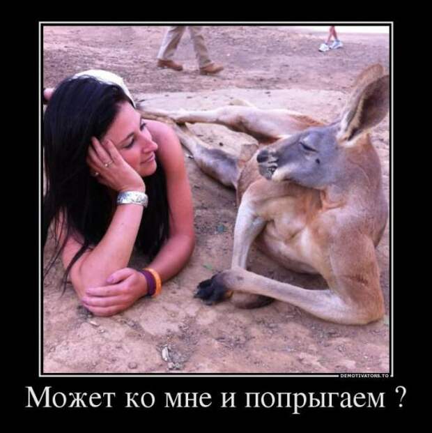 Немного новых демотиваторов