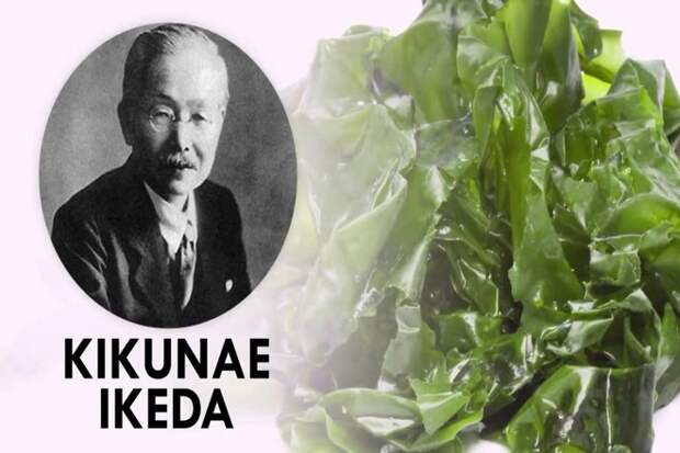 В 1909 году японский ученый по имени Кикунаэ Икеда заметил, что суп, который он ел, был пикантным и имел уникальный вкус
