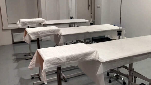 Мертвые души: в Петербурге раскрыли схему торговли органами умерших