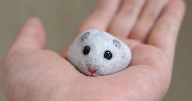 Я не кот, не гладь меня — художник раскрывает уникальные характеры камней