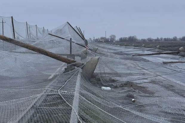 ТАСС: антидроновая защита в Николаеве рухнула из-за нарушений при строительстве