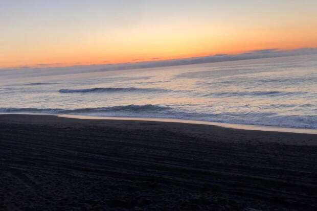Частный самолет совершил экстренную посадку на озеро в Серпухове