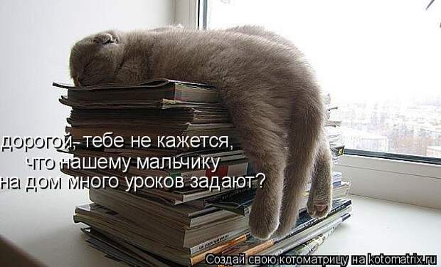 дорогой, тебе не кажется, что нашему мальчику на дом много уроков задают?