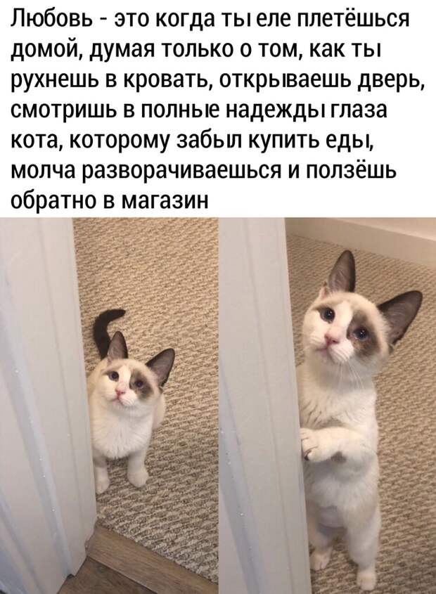 Любовь Любовь