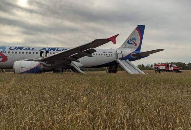Ущерб от посадки самолета в поле под Новосибирском составил почти 119 млн руб.