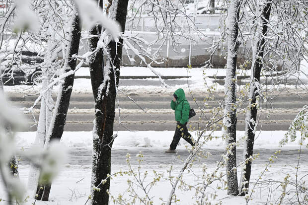 В России оценили возможность штрафа за опоздание на работу из-за непогоды