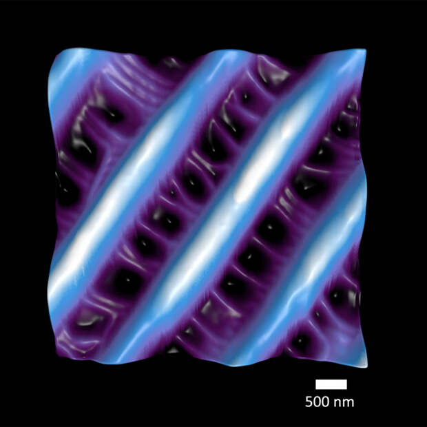 Крыло бабочки в нанометровом масштабе