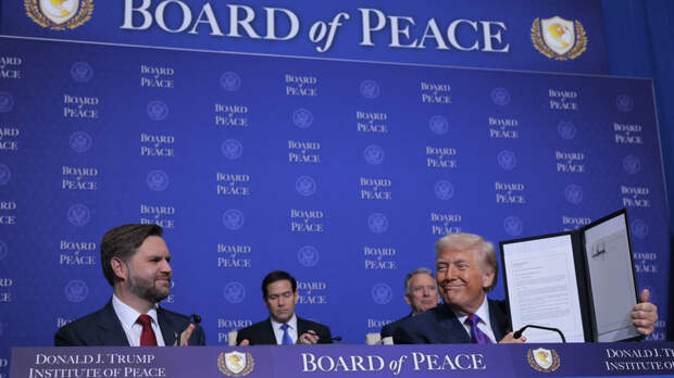 МИД: у России есть вопросы к уставу и мандату Совета мира