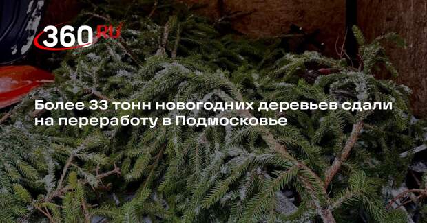 Более 33 тонн новогодних деревьев сдали на переработу в Подмосковье