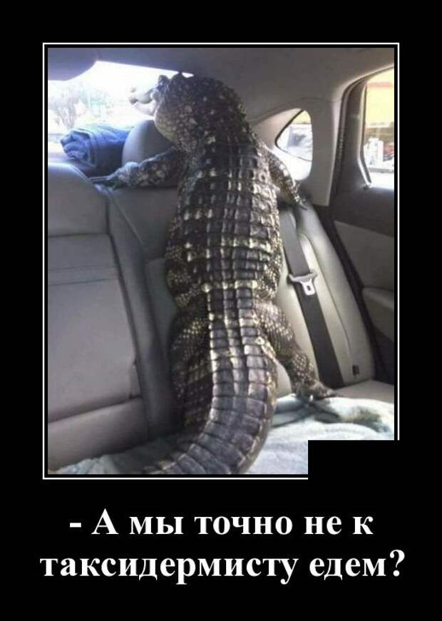 Демотиваторы (30 фото)