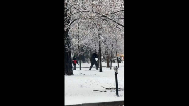 Video: Клип @donetskdnr_vk