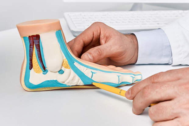 Врач Симкин: пять упражнений для ног помогут при плоскостопии