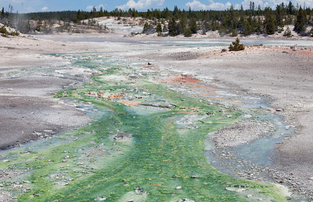 Йеллоустоун (Yellowstone)
