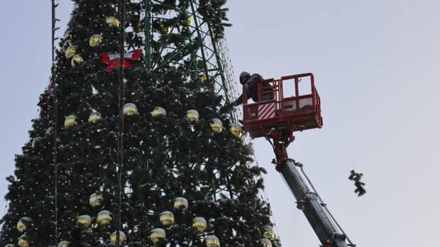 Разбор елки на площади Свободы в Барнауле / Фото: amic.ru