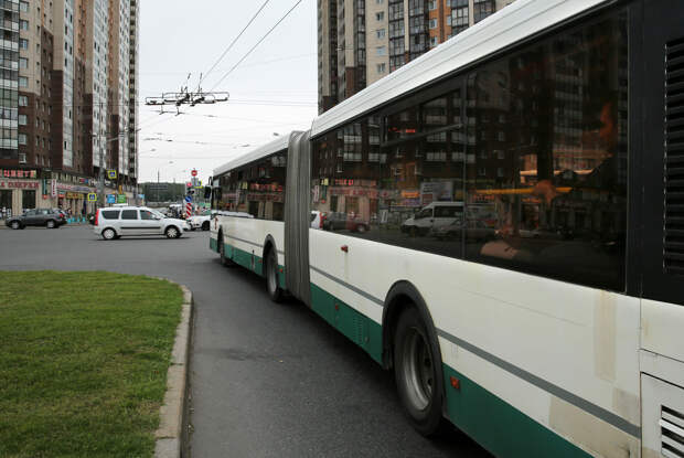 В салонах петербургских автобусов больше не будет коммерческой рекламы