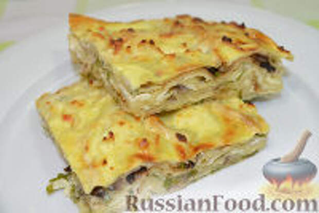 Фото к рецепту: Запеканка из лаваша с сыром и грибами