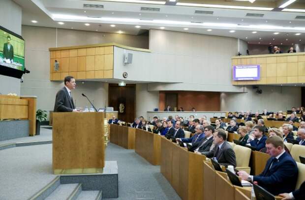 Фото: duma.gov.ru/multimedia