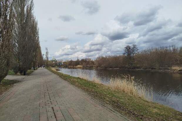 В выходные в Тамбове потеплеет до +16 градусов