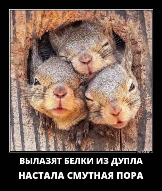 Демотиваторы. Подборка chert-poberi-chert-poberi-14250805052020-14 картинка chert-poberi-14250805052020-14