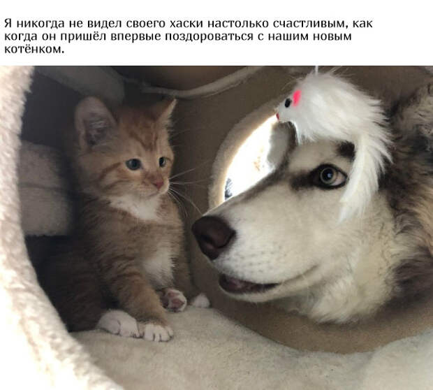 www.vsyako.net